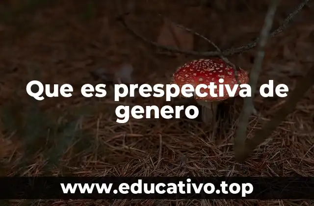 Que es prespectiva de genero