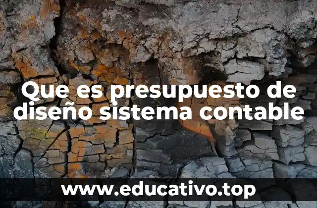 Que es presupuesto de diseño sistema contable