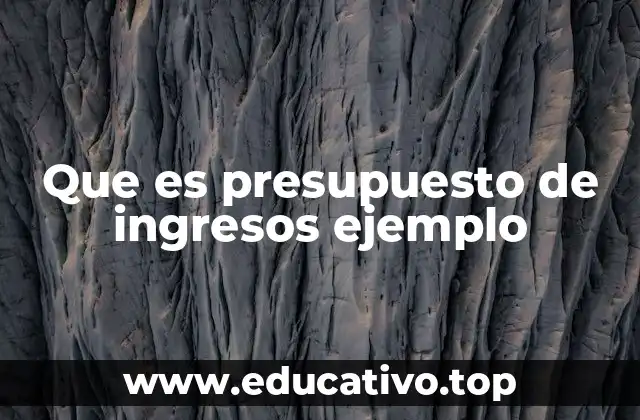 Que es presupuesto de ingresos ejemplo