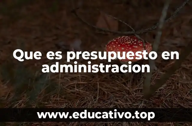 Que es presupuesto en administracion