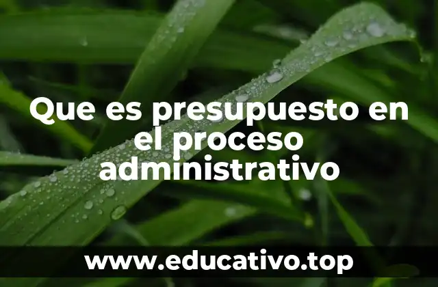 Que es presupuesto en el proceso administrativo