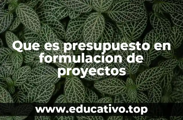 Que es presupuesto en formulacion de proyectos