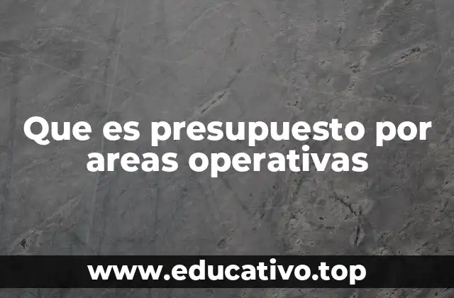 Que es presupuesto por areas operativas