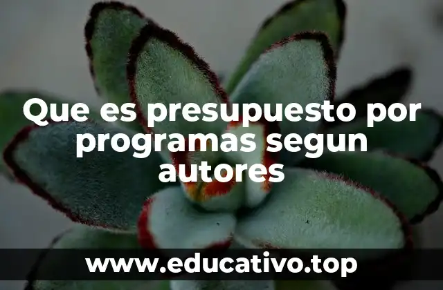 Que es presupuesto por programas segun autores
