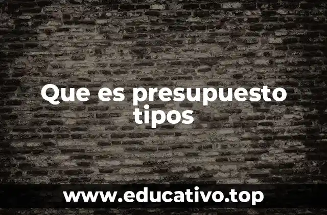 Que es presupuesto tipos