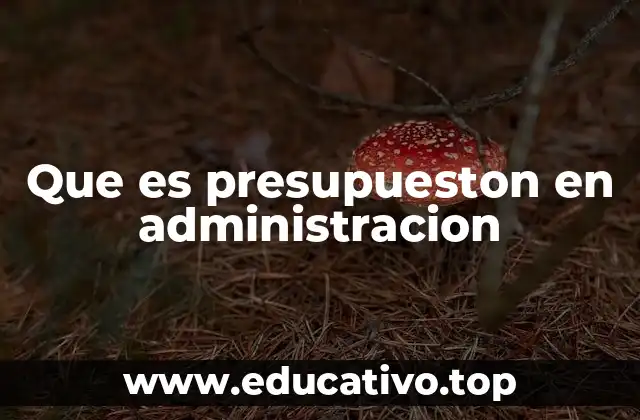Que es presupueston en administracion