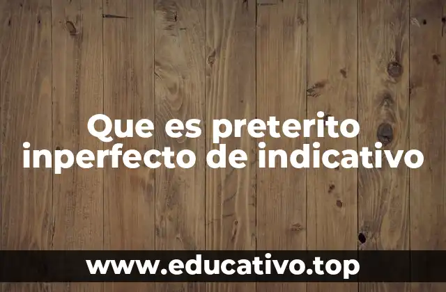 Que es preterito inperfecto de indicativo