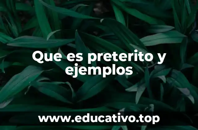 Que es preterito y ejemplos