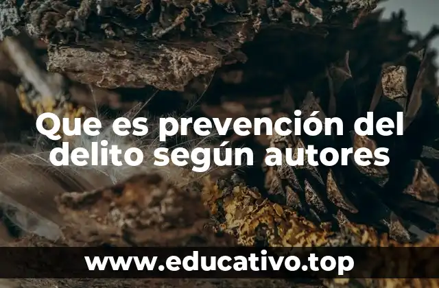 Que es prevención del delito según autores