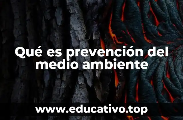 Qué es prevención del medio ambiente