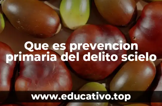 Que es prevencion primaria del delito scielo