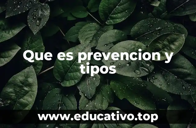 Que es prevencion y tipos