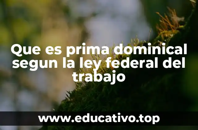 Que es prima dominical segun la ley federal del trabajo