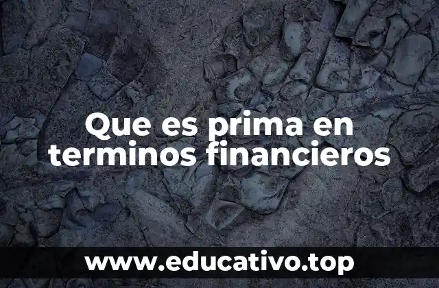 Que es prima en terminos financieros