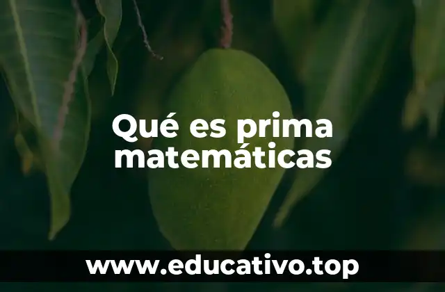 Qué es prima matemáticas