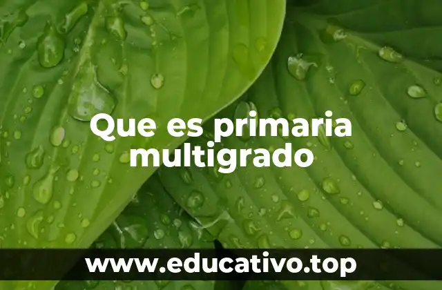 Que es primaria multigrado
