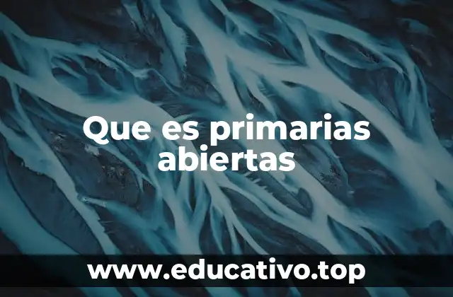 Cómo funcionan las elecciones primarias abiertas