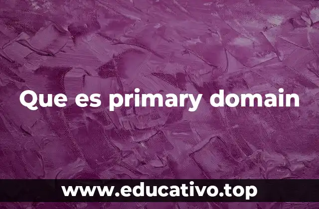 Que es primary domain