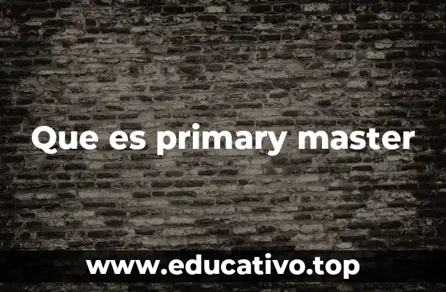 Que es primary master