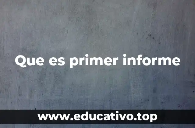Que es primer informe