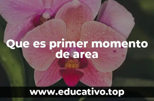Que es primer momento de area
