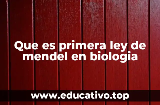 Que es primera ley de mendel en biologia
