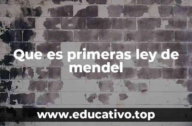 La base experimental detrás de los descubrimientos de Mendel