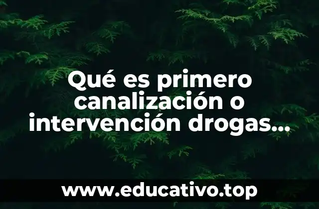 Qué es primero canalización o intervención drogas estudiantes