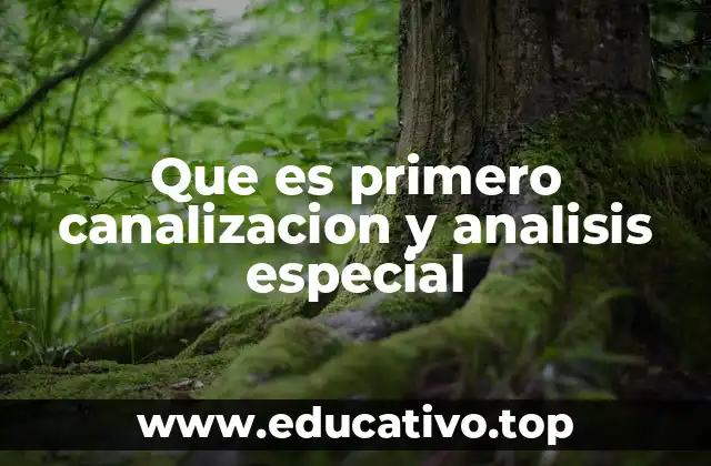 Que es primero canalizacion y analisis especial