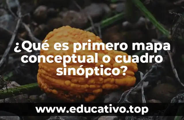 ¿Qué es primero mapa conceptual o cuadro sinóptico?