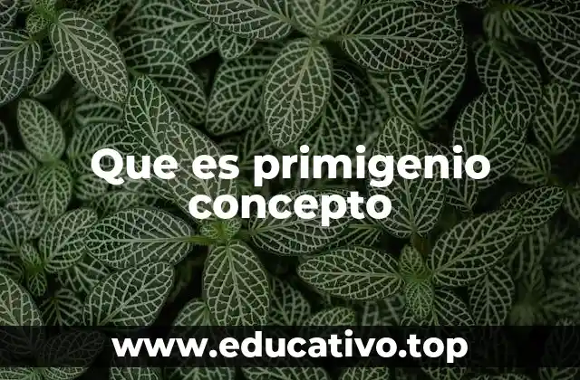 Que es primigenio concepto