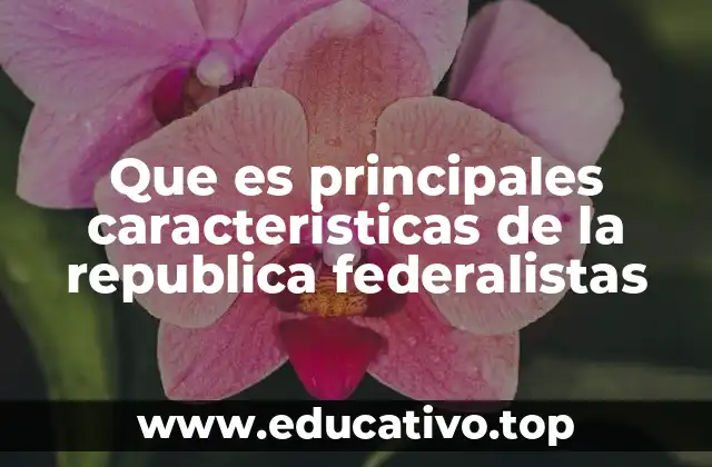 Que es principales caracteristicas de la republica federalistas