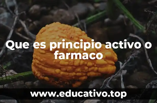 Que es principio activo o farmaco