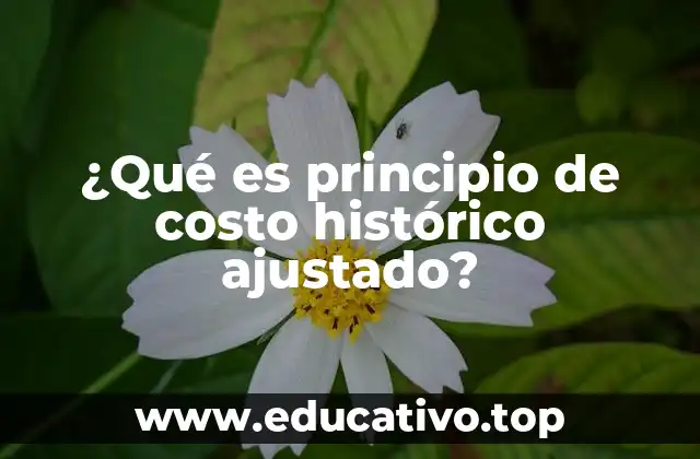 ¿Qué es principio de costo histórico ajustado?
