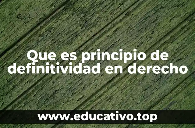 Que es principio de definitividad en derecho