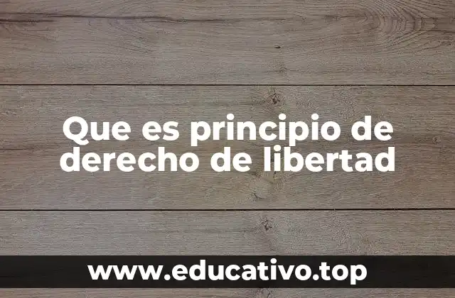 Que es principio de derecho de libertad