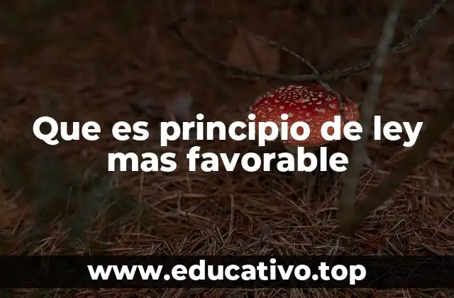 Que es principio de ley mas favorable