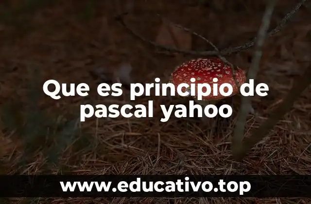 Que es principio de pascal yahoo