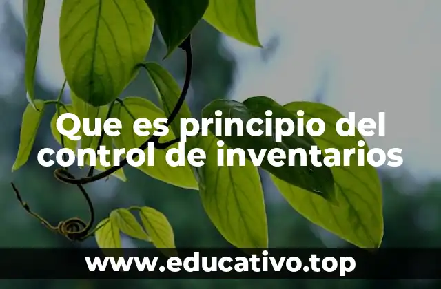 Que es principio del control de inventarios