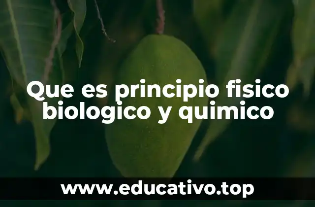 Que es principio fisico biologico y quimico