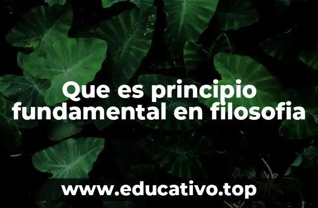 Que es principio fundamental en filosofia