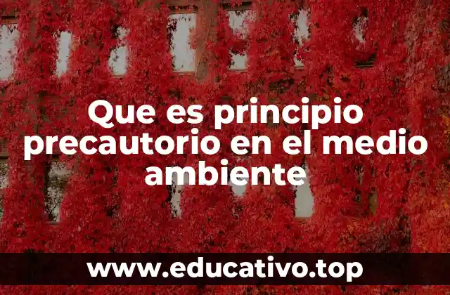 Que es principio precautorio en el medio ambiente