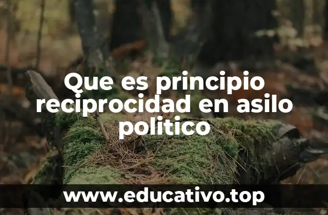 Que es principio reciprocidad en asilo politico