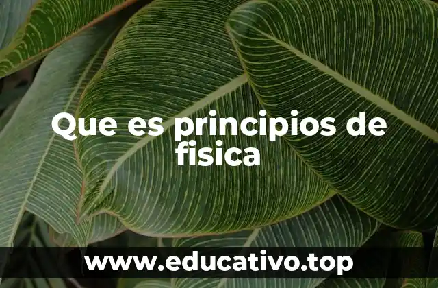 Que es principios de fisica