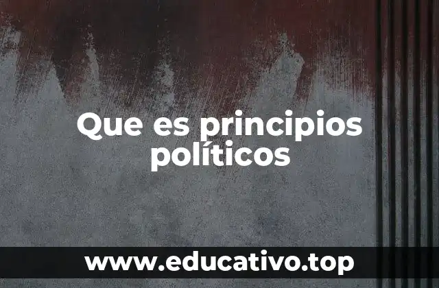 Que es principios políticos