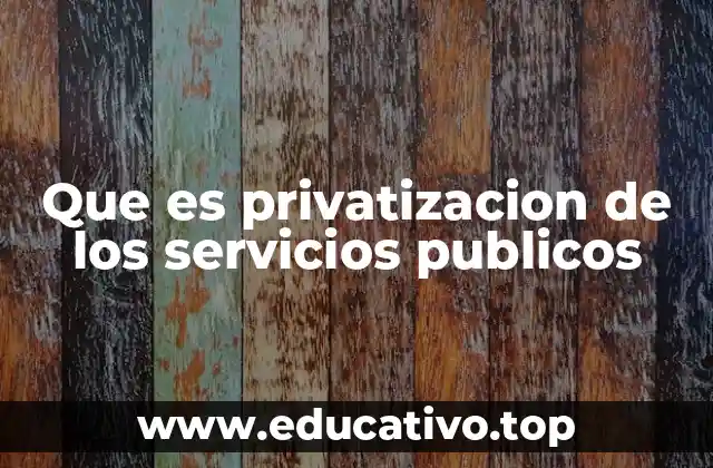 Que es privatizacion de los servicios publicos