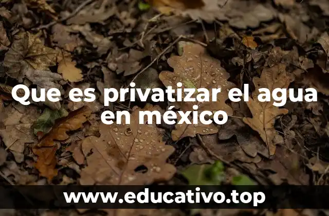 Que es privatizar el agua en méxico