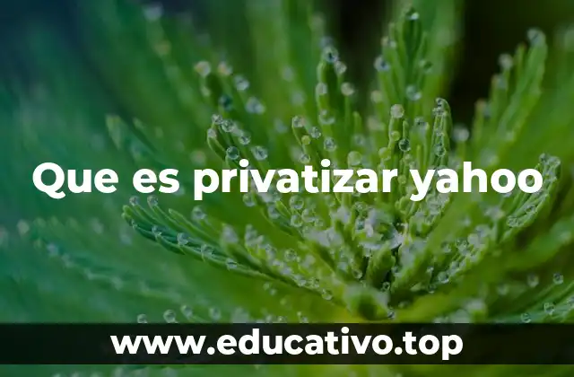 Que es privatizar yahoo