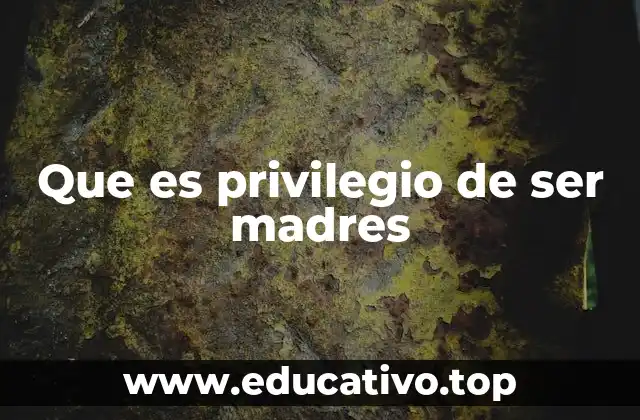 Que es privilegio de ser madres