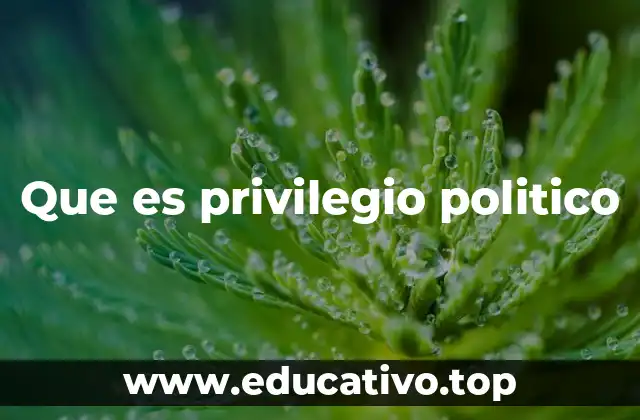 Que es privilegio politico